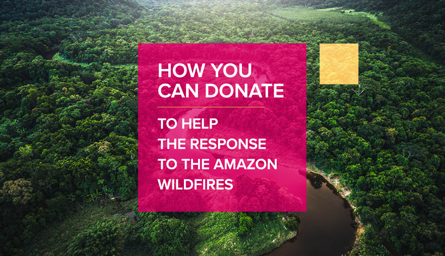 How you can donate to help the response to the Amazon Wildfires
