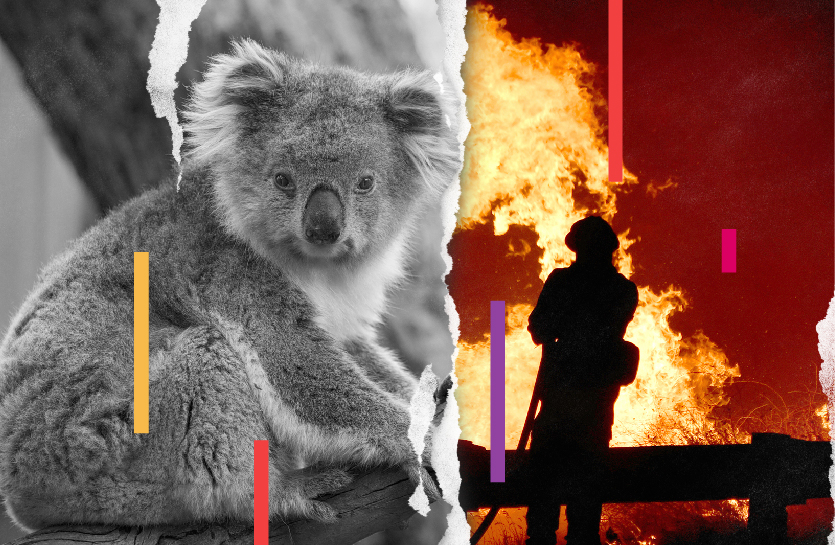 How to support the response to the Australian bushfires